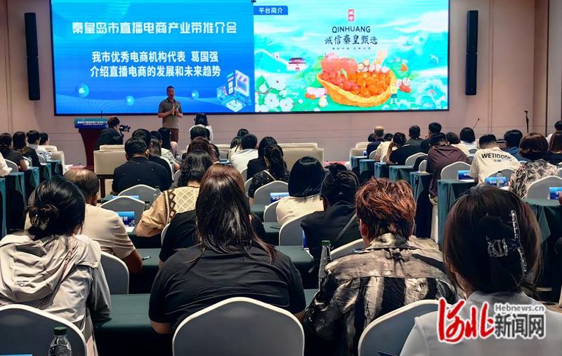 如何在线销售商品：以电子产品为例