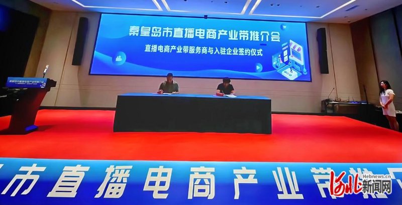秦皇岛电子商务：新经济的活力引擎